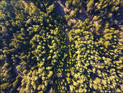 无人机在高空中拍摄的森林图片