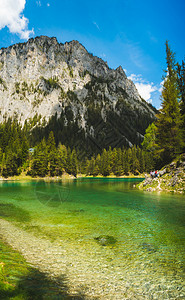 奥利匹克日阿尔卑斯山湖景观称为绿GrunerSee访问旅游目的地方奥利施蒂里亚的Sunny夏季日奥地利施蒂里亚的绿湖景观奥地利施蒂里亚的G背景