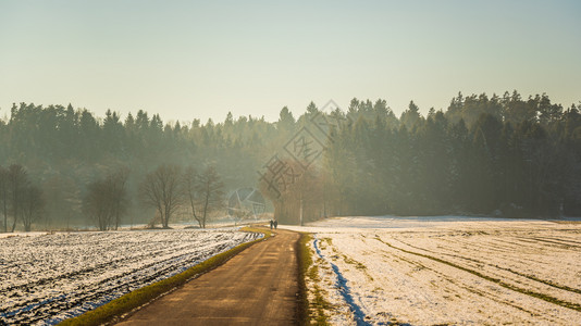 冬季寒冷的田间道路图片