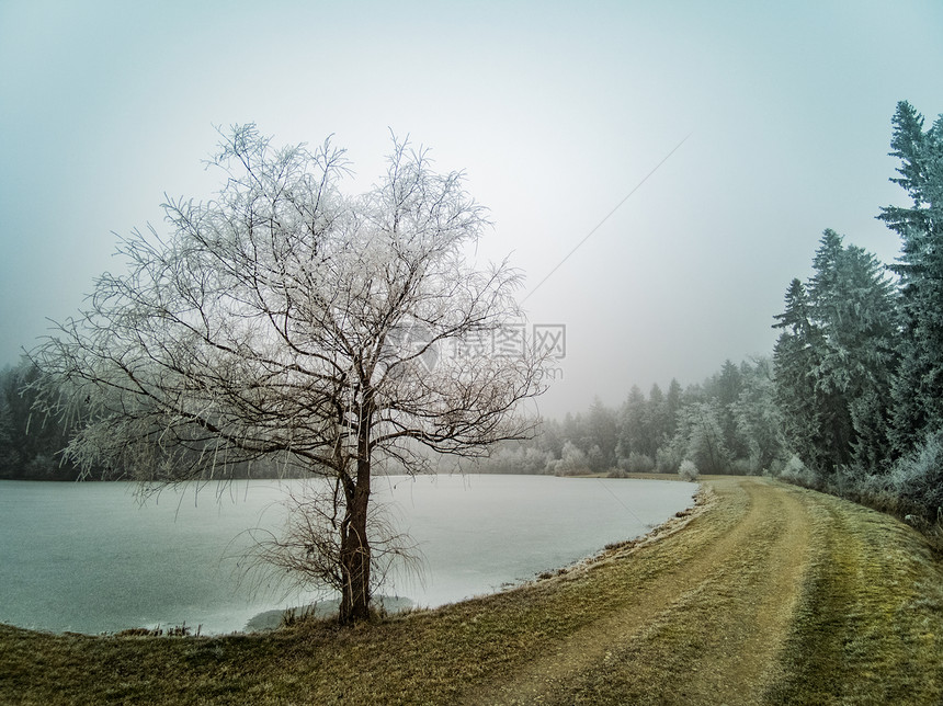 寒冷的湖泊景观与冬季的森林树木和草地上的霜冬季背景冷冻的湖泊观与冬季的森林树木和草地上的霜图片