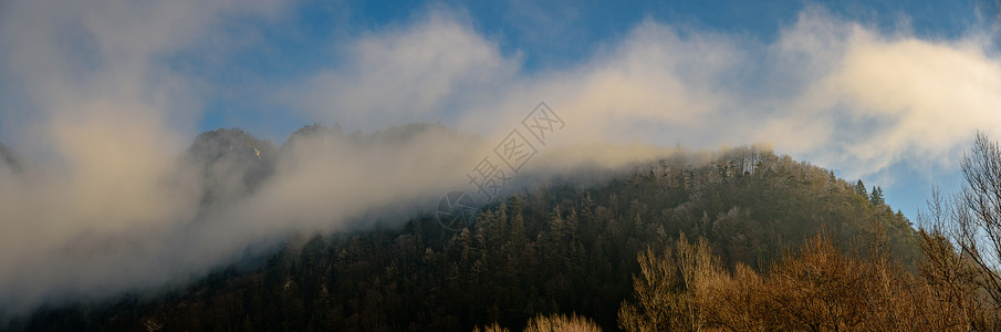 美丽的早晨秋天冬的山森林和大雾全景背美丽的早晨秋天冬季的山森林和大雾全景背背景图片