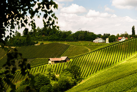 奥地利斯洛文尼亚苏尔兹塔地区南施蒂里亚通往赫泽尔斯特拉的葡萄酒国路图片