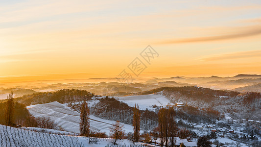 丽亚葡萄园上方的日出风景葡萄园上方是南StyriaAustriaLibenitz地区南Slovenia的雾谷查看葡萄园上方的雾谷南S背景