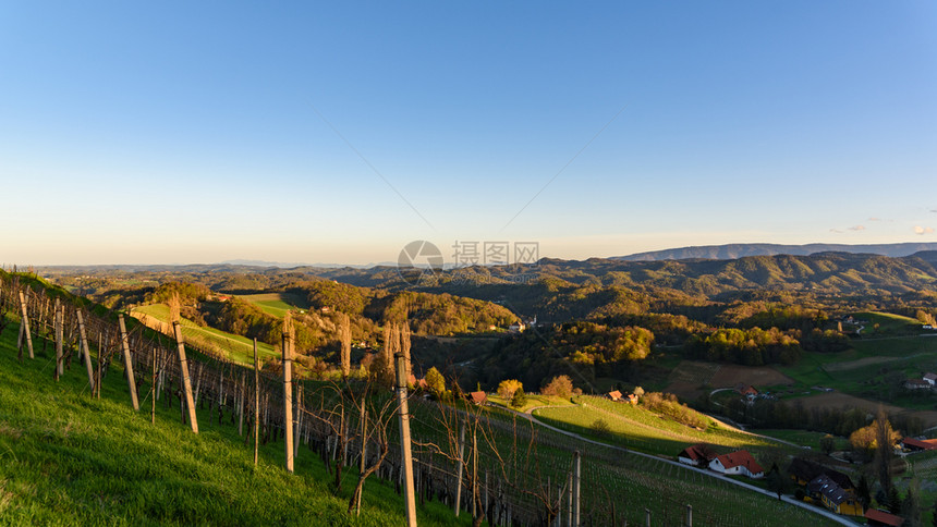 在斯提里亚奥地利贝尼茨区南部斯洛文尼亚山谷的葡萄园上可以看到日出的风景图片