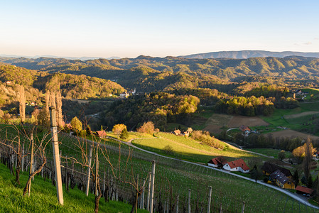 苏斯特在斯提里亚奥地利贝尼茨区南部斯洛文尼亚山谷的葡萄园上可以看到日出的风景背景