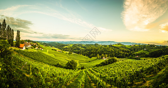 南施蒂里亚葡萄园景观奥地利加姆茨附近的苏尔兹塔欧洲埃克伯格欧洲夏季葡萄树山的酒路景色旅游目的地点奥利葡萄山的酒路景色夏季旅游目的背景图片