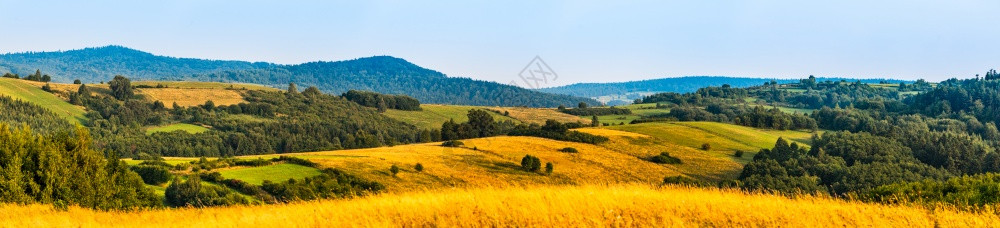 亚喀尔巴阡山脉地区农村貌全景覆盖田地草和森林自然背景覆盖田地草和森林图片