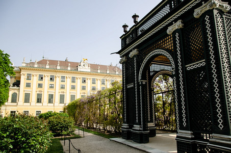 维也纳圣春宫皇的花园著名的旅游目地维也纳圣春宫的皇花园背景