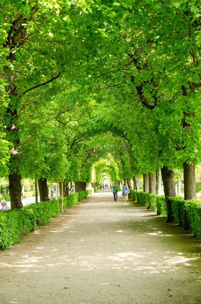 奥地利维也纳201378年Schonbrunn帝国宫殿内花园和绿景色旅游者与家人一起渡过夏季天气著名的旅游目地教科文组织在维也纳图片