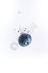 一个有机蓝莓沉入水中空气泡是白色的一个有机蓝莓沉入清澈的水中图片