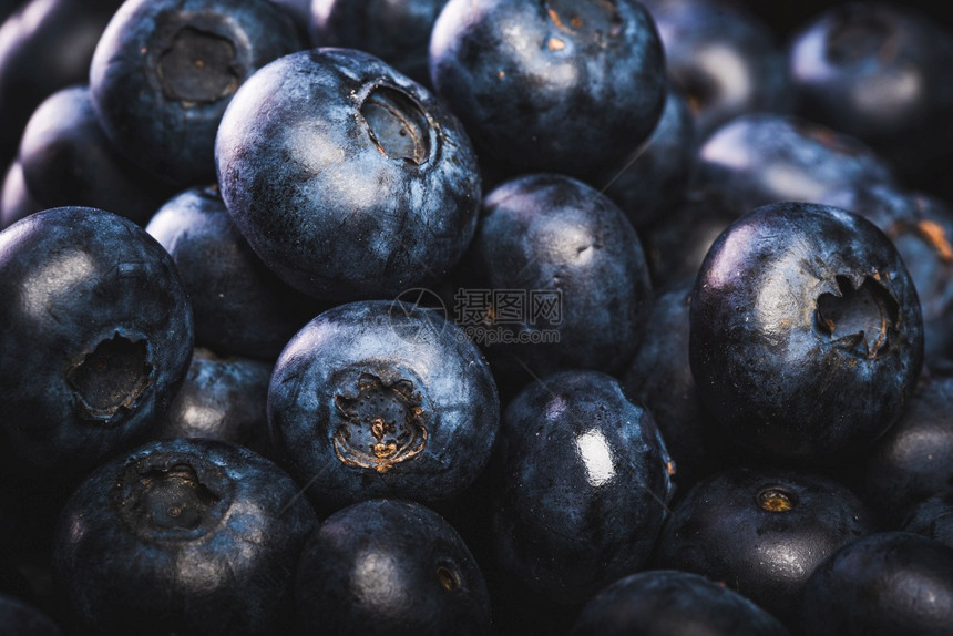 黑色背景的新鲜蓝莓森林水果概念图片