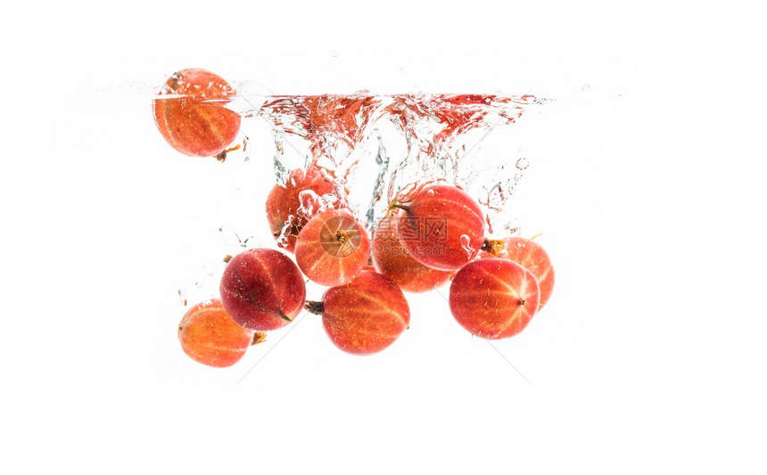 一群红鹅莓沉在清水中孤立白色背景上健康食物概念图片