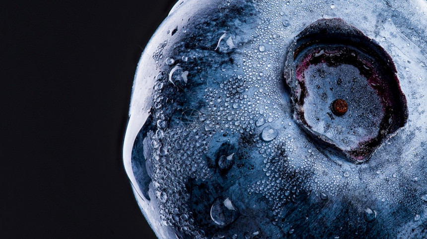 1个蓝莓覆盖了黑色背景上的水滴非常详细的宏观拍摄左侧有复制的空间1个蓝莓覆盖了黑色背景上的水滴抗氧化剂概念图片
