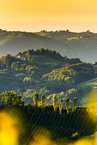 南Styria葡萄园景观全靠近奥地利加姆茨欧洲埃克伯格欧洲春酒路的葡萄山旅游目的地点行垂直照片南Styria葡萄园景观欧洲埃克伯背景图片