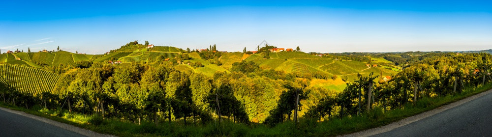 奥地利与斯洛文尼亚之间的奥地利边界格拉茨南Styrian葡萄园沿线的景色葡萄园旅行目的地奥利与斯洛文尼亚之间的奥地利边界格拉茨名背景图片