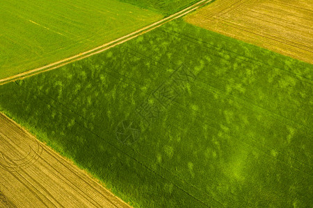 农村地区的绿农业谷物田的景观空中察农业谷物田的景观图片