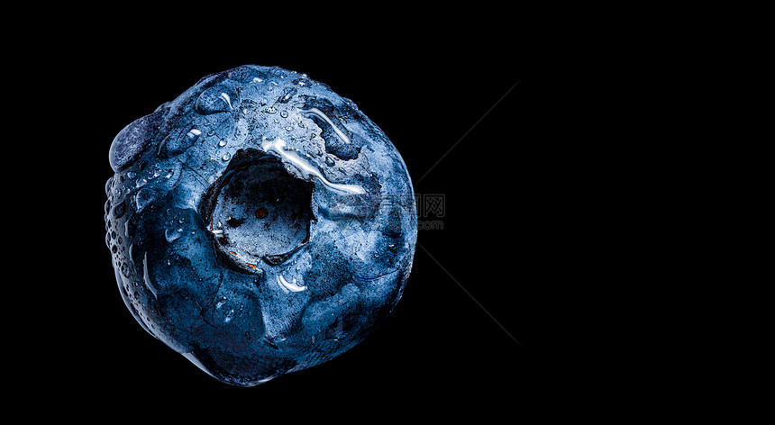 1个蓝莓覆盖了黑色背景上的水滴非常详细的宏观拍摄右侧有复制的空间1个蓝莓覆盖了黑色背景上的水滴抗氧化剂概念图片
