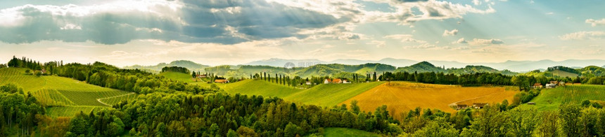 全景奥地利施蒂里亚葡萄酒生产国老种植南施蒂里亚景观图片