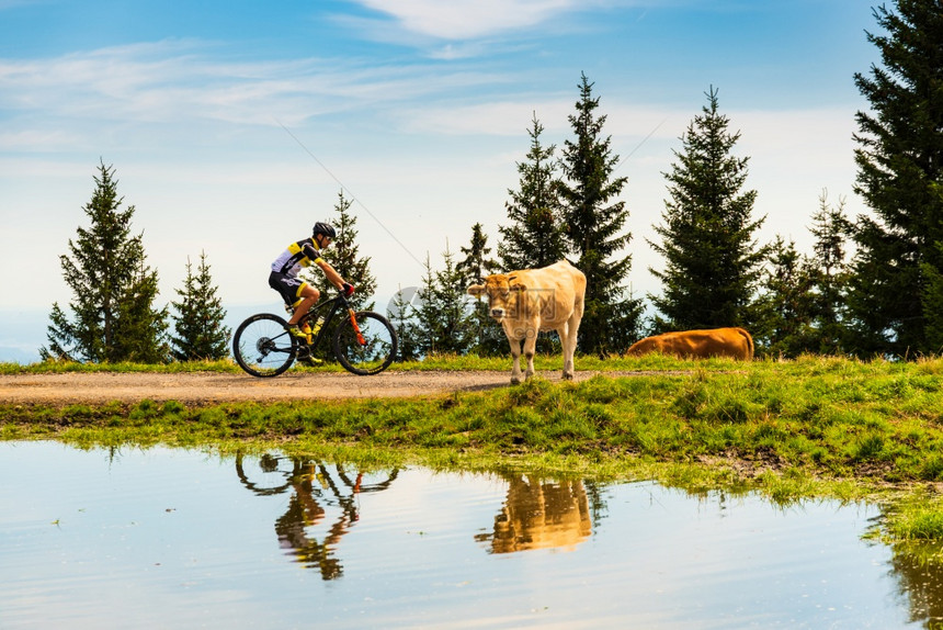 奥地利施蒂里亚州肖耶克勒山2019年8月7日看到山车在格拉茨的Shockl山经过一头奶牛格拉茨施蒂里亚的旅游点奥地利的景看到山车图片