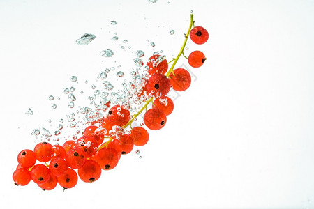 白色背景的水中红剂健康食物白背景的水中红剂图片