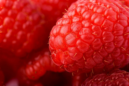 草莓白色背景宏观关闭草莓白色背景图片