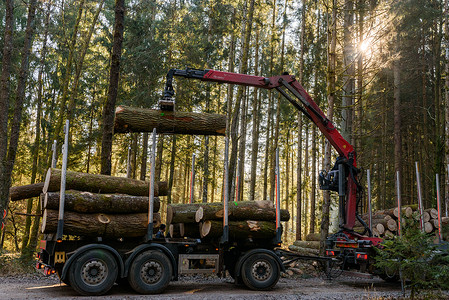 奥地利Kaiserwald公司20年1月日卡车中森林装货原木的Crane公司森林中的木材采伐和运输森林木业和的运输卡车中森林装货背景图片