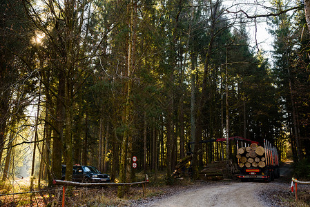 奥地利Kaiserwald公司20年1月日卡车中森林装货原木的Crane公司森林中的木材采伐和运输森林木业和的运输卡车中森林装货背景图片