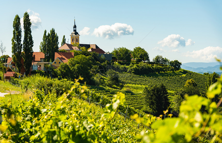 奥地利乡村的葡萄园和背景中的教堂KitzeckimSausal位于奥地利乡村的葡萄园和背景中的教堂图片