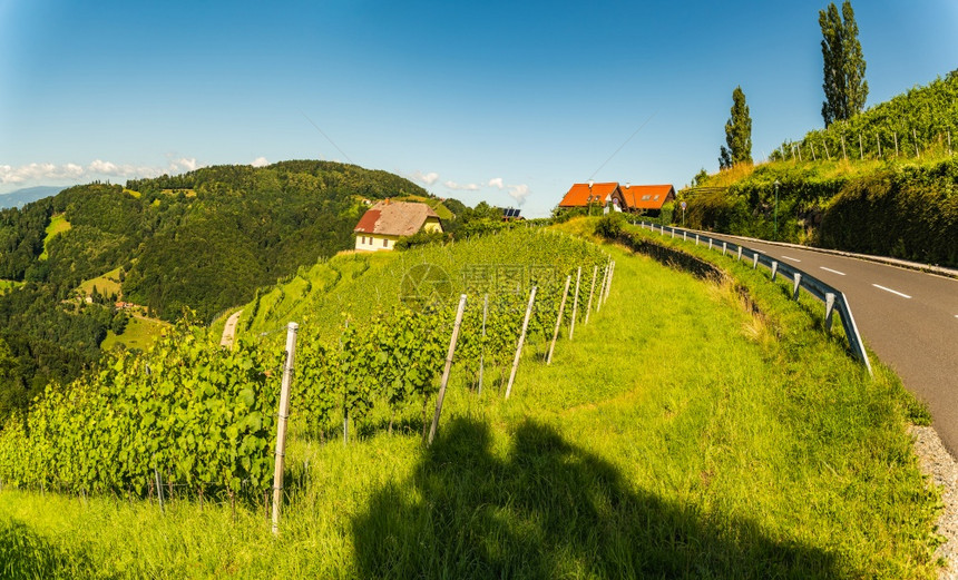 奥地利乡村的葡萄园具有戏剧质的景观基茨克伊索萨尔具有奥地利乡村的葡萄园具有戏剧质的景观图片