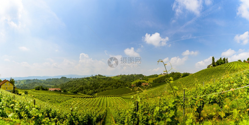 斯提里亚南部旅游点葡萄酒国观光景点图片