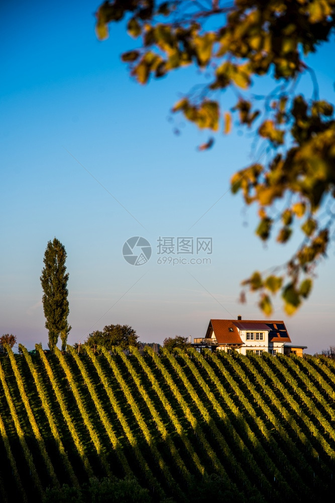 奥地利的Winery施蒂里亚旅游点图片