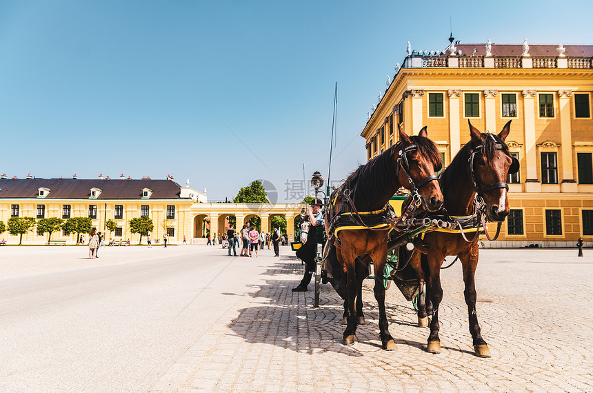 维也纳奥地利2013年4月日Schonbrunn宫殿广场视图右侧两匹前方的马经过游客图片