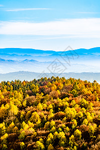 秋天风景地表的多彩林木和背景的蓝山图片