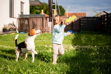 狗玩玩具23岁的幼女在花园里玩小狗在花园里玩小狗在夏日追赶一个草地上玩具的女孩幼小23岁的童女在花园里玩小狗背景