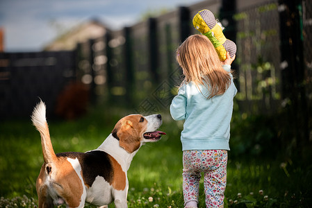 23岁的幼女在花园里玩小狗在花园里玩小狗在夏日追赶一个草地上玩具的女孩幼小23岁的童女在花园里玩小狗背景
