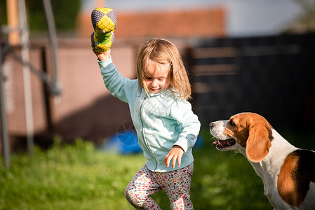 23岁的幼女在花园里玩小狗在花园里玩小狗在夏日追赶一个草地上玩具的女孩幼小23岁的童女在花园里玩小狗背景图片