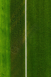 农业概念奥地利阳光夏日收割农田图片