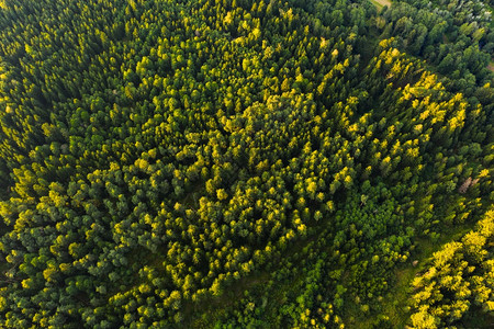 冥河奥地利绿色高山森林的空中观察Styrian高山自然奥地利绿色高山森林的空中观察背景