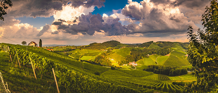 奥地利葡萄园全景莱布尼茨地区著名的目葡萄酒路位于施蒂里亚南部品德州夏季旅游目的地绿色山丘和作物奥地利全景的葡萄园南施蒂里亚有葡萄图片