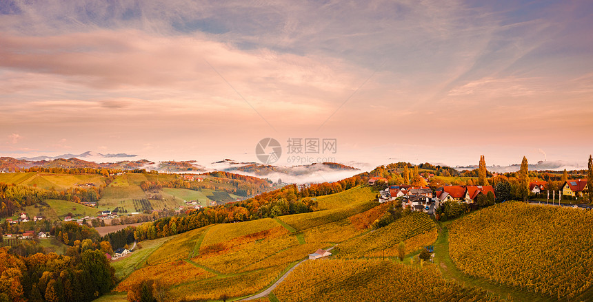 南施蒂里亚葡萄园风景图片