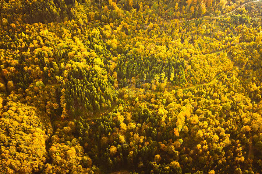 奥地利南施蒂里亚斯绿林区的秋季森空中观察在高山林的徒步路线上查看奥地利南施蒂里亚斯绿林区的秋季森空中观察图片
