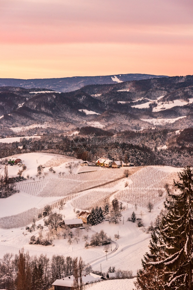冬季雪地葡萄园在斯提里亚奥地利洛文尼亚边境的日落在奥地利葡萄酒街的斯提里亚洛文雪山上观看冬季雪地葡萄园在斯提里亚奥地利洛文尼亚边图片