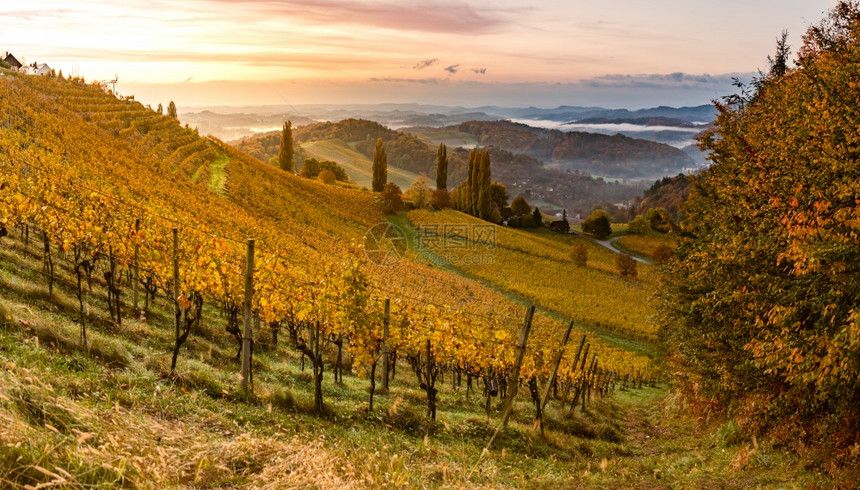 奥地利南部Styrian路线的秋天观在日落期间斯洛文尼亚的山丘上秋天观在维内亚主题上图片
