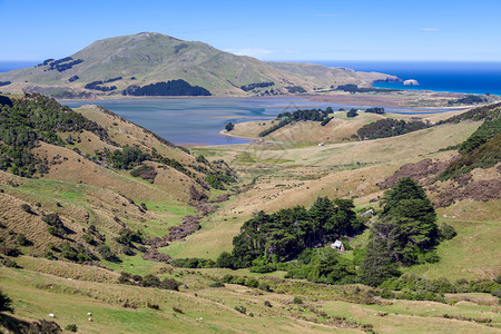 Otago半岛农村风景图片