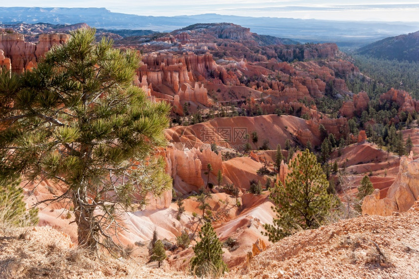 BryceCanyon美国南部犹他州图片