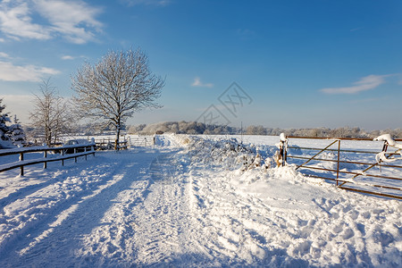 雪栅栏东格里斯特德的冬季现场背景