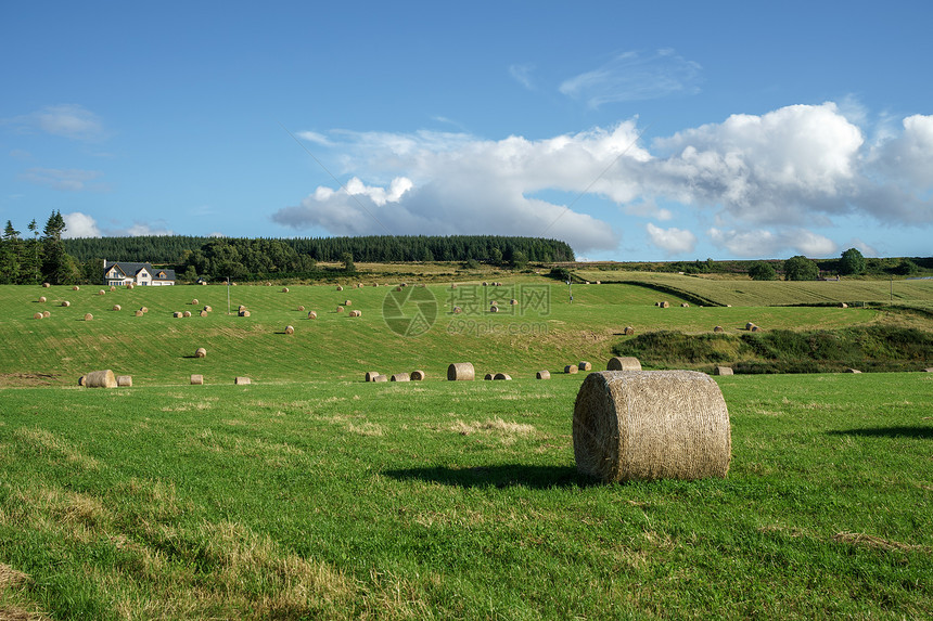 Culloden附近的农场图片