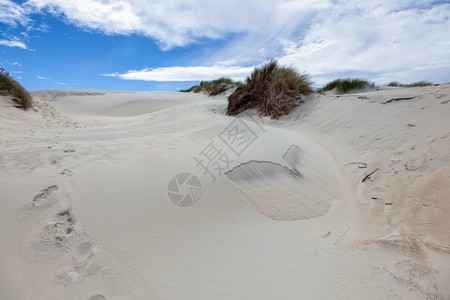 新西兰南岛SandflyBay南岛沙丘图片