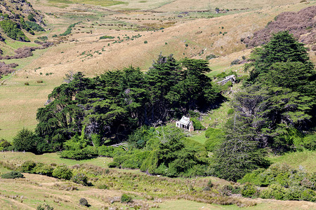 Otago半岛农村风景高清图片