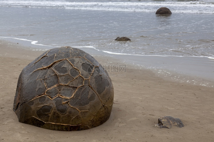 新西兰奥塔哥海岸的Koekohe海滩上的Moeraki巨石图片